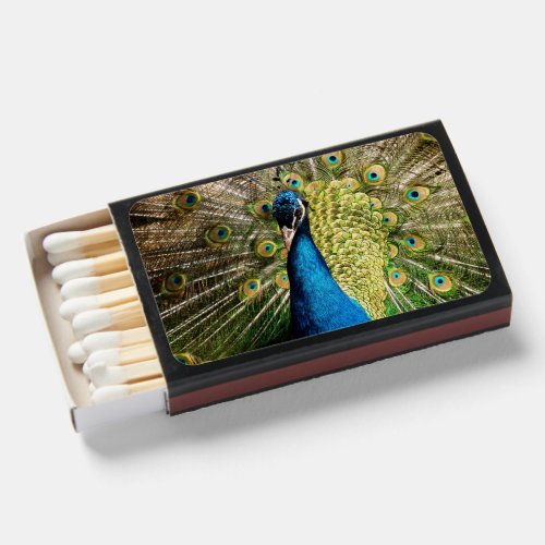 Bashful Peacock Matchboxes