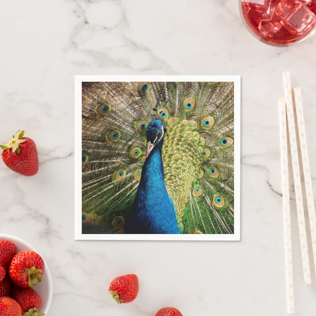 Bashful Peacock  Napkins (Insitu)