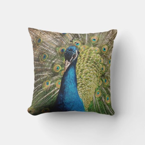 Bashful Peacock  Outdoor Pillow