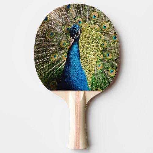 Bashful Peacock Ping Pong Paddle