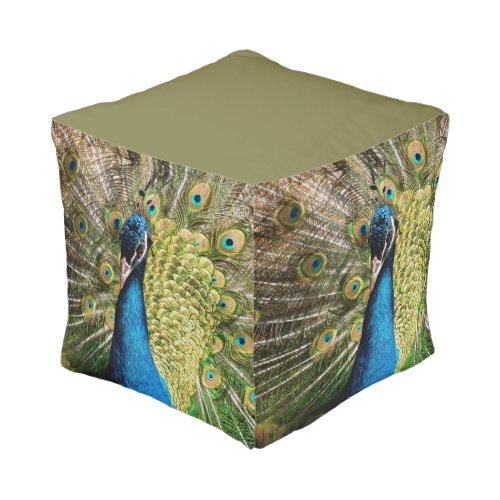 Bashful Peacock Pouf