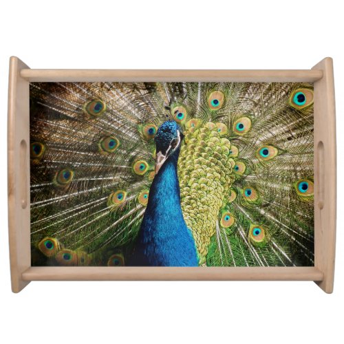 Bashful Peacock Serving Tray
