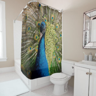 Bashful Peacock  Shower Curtain