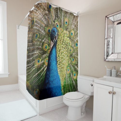Bashful Peacock  Shower Curtain