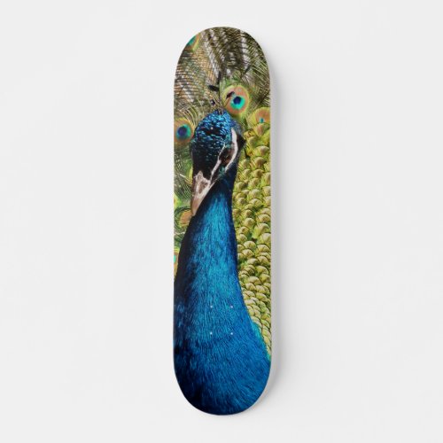 Bashful Peacock Skateboard