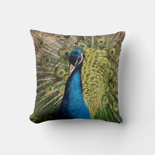 Bashful Peacock  Throw Pillow