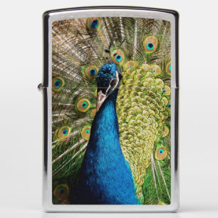 Bashful Peacock Zippo Lighter