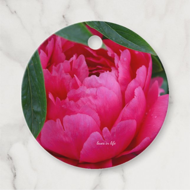 Bashful Pink Peony Favor Tags (Front)