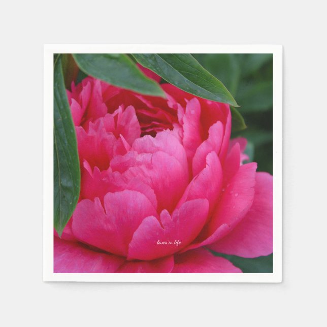 Bashful Pink Peony Napkins (Front)