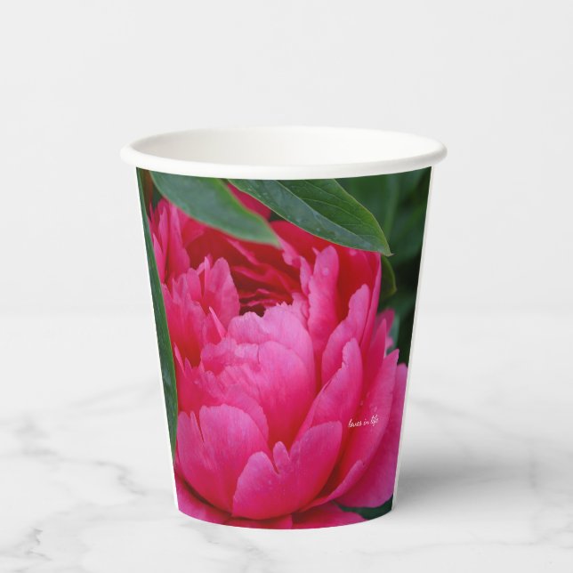 Bashful Pink Peony Paper Cups (Front)