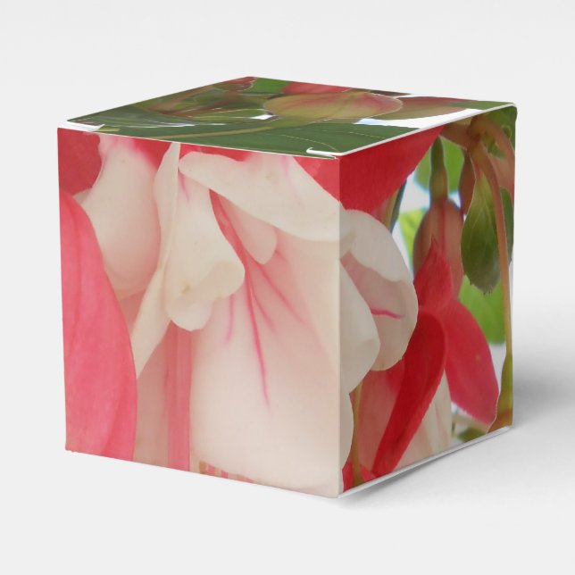Bashkirtseff Favor Boxes (Front Side)