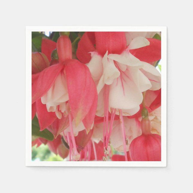 Bashkirtseff Napkins (Front)