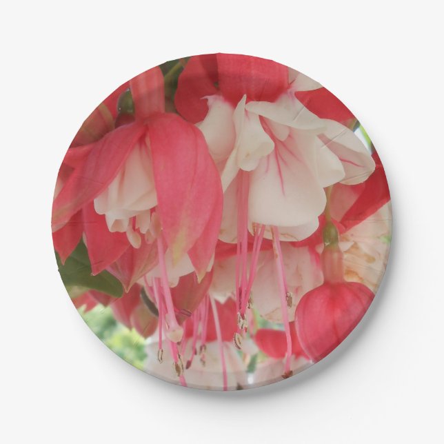 Bashkirtseff Paper Plates (Front)