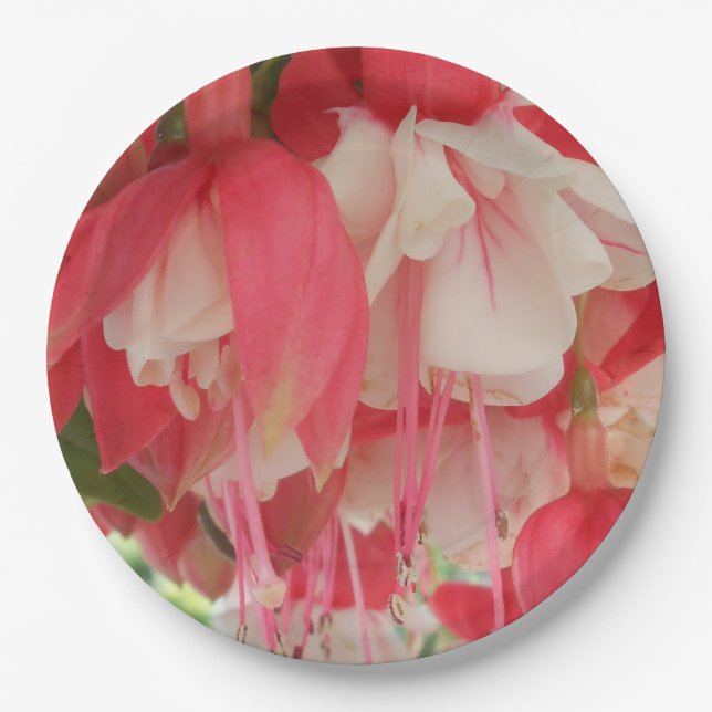 Bashkirtseff Paper Plates (Front)