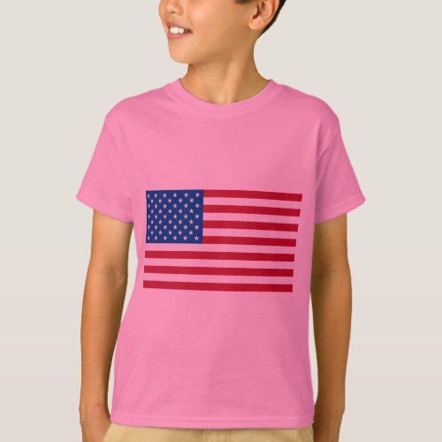 Basic American Flag Products T_Shirt