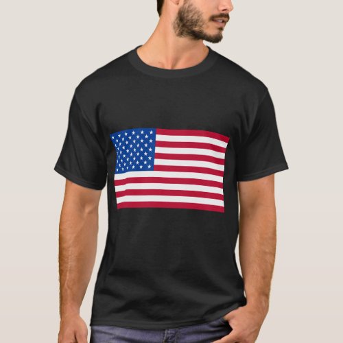 Basic American Flag Products T_Shirt