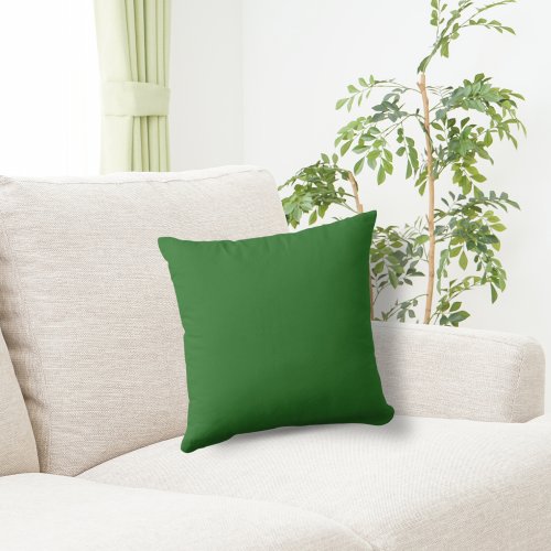 Basic Color Kelly Green Throw Pillow