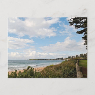 Basic semi gloss postcard