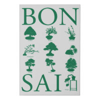 Basic Styles of Bonsai Tree