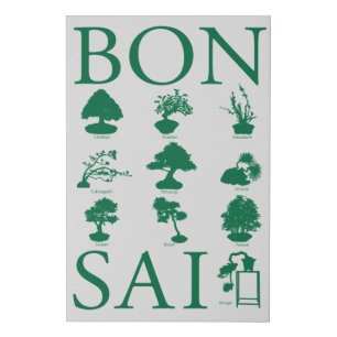 Basic Styles of Bonsai Tree Faux Canvas Print
