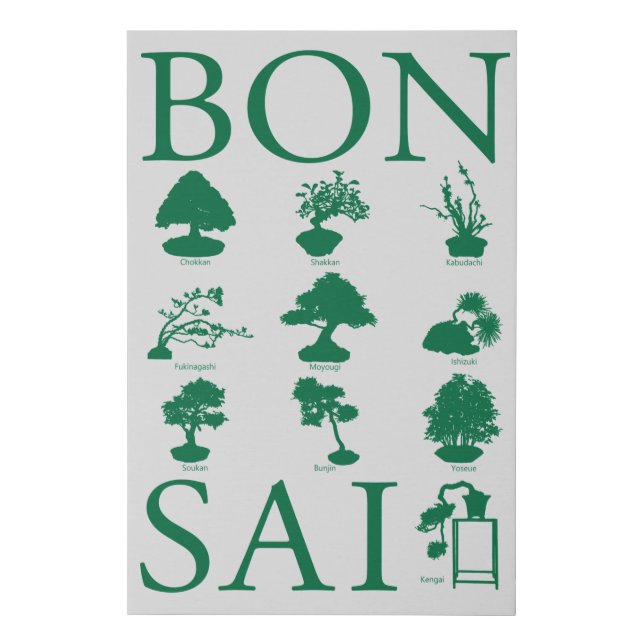 Basic Styles of Bonsai Tree Faux Canvas Print (Front)