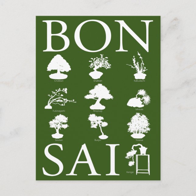 Basic Styles of Bonsai Tree Postcard (Front)