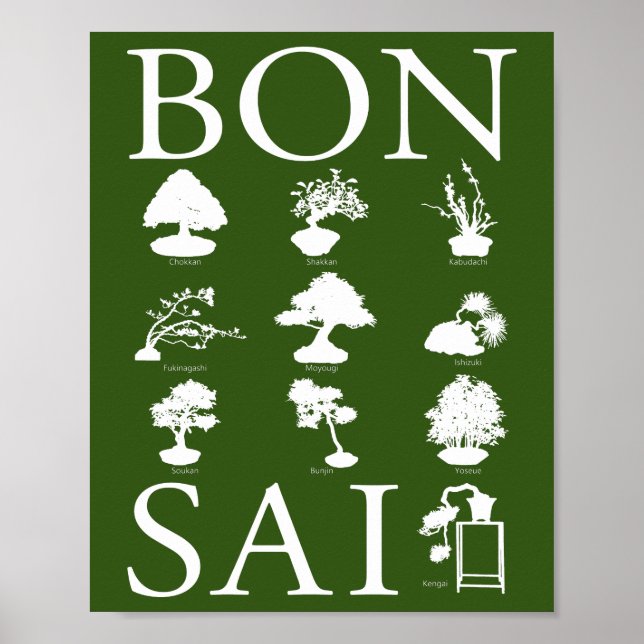 Basic Styles of Bonsai Tree Poster (Front)