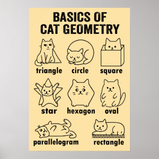 Basics of Cat Geometry Math Pun Funny Line Art Doo Poster