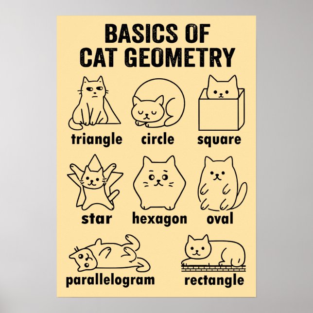 Basics of Cat Geometry Math Pun Funny Line Art Doo Poster (Front)