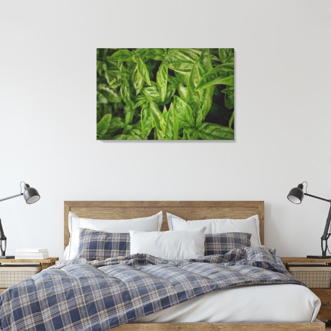 Basil Canvas Print (Insitu(Bedroom))