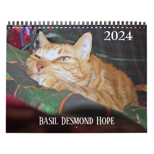 Basil Ginger Cat Personalized Calendar 2024