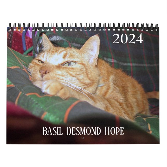 Basil Ginger Cat Personalized Calendar 2024 (Cover)