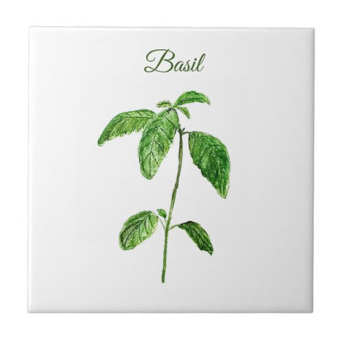 Basil Herb Greenery Kitchen Culinary Green Rustic Ceramic Tile