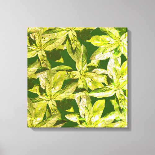 Basil Herb Kitchen Art  Wrapped Canvas