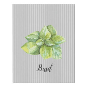 Basil Herb Watercolor Gray Faux Canvas Print