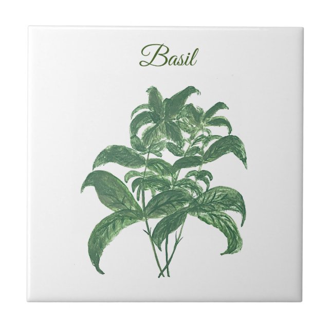 Basil Herbs Greenery Kitchen Green Plant  Ceramic Tile (Front)