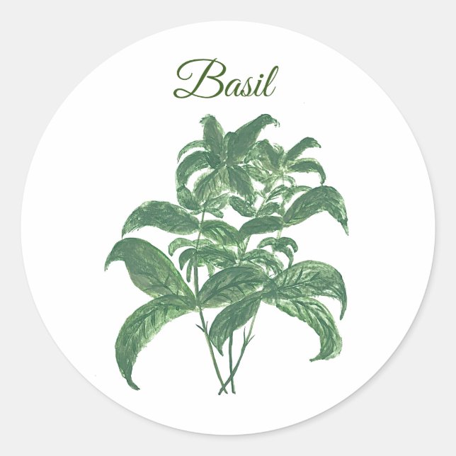 Basil Herbs Greenery Kitchen Green Plant  Classic Round Sticker (Front)