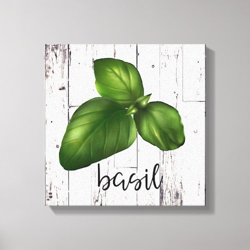 BASIL LEAF White Wood Rustic Farmhouse Kitchen Canvas Print