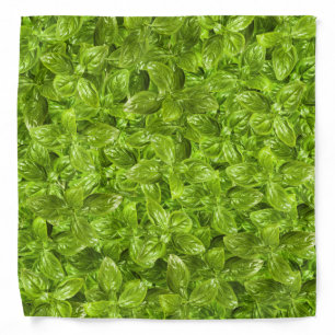 Basil Leaves Pattern Bandana