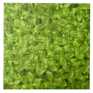 Basil Leaves Pattern Ceramic Tile