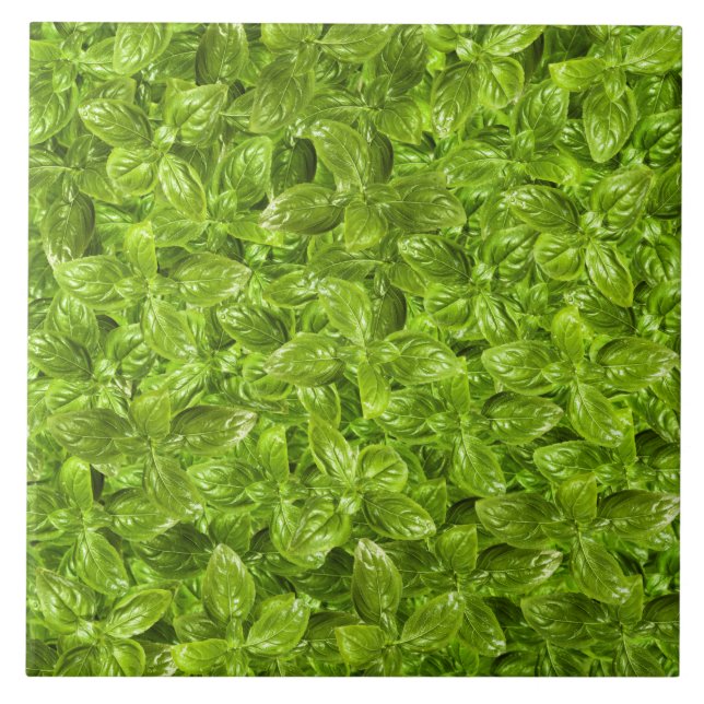 Basil Leaves Pattern Ceramic Tile (Front)