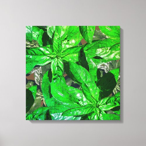 Basil Leaves  Photo  Art Wrapped Canvas