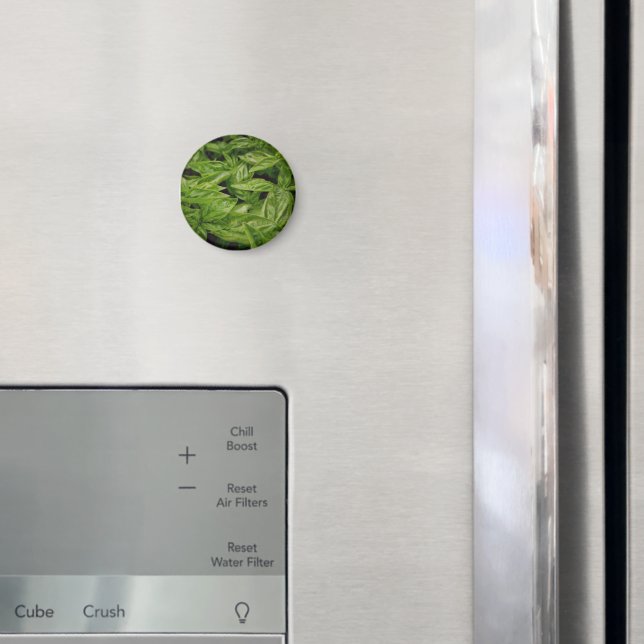 Basil Notebook Magnet (In Situ (Fridge))