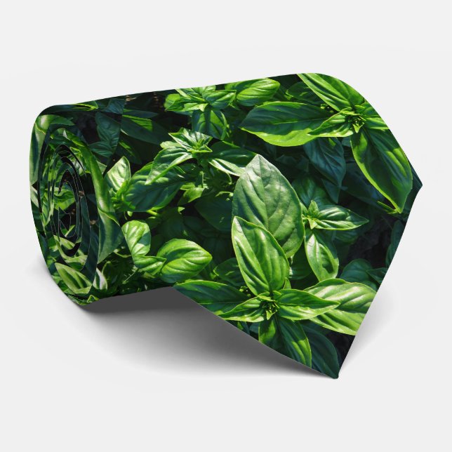 Basil photo tie (Rolled)
