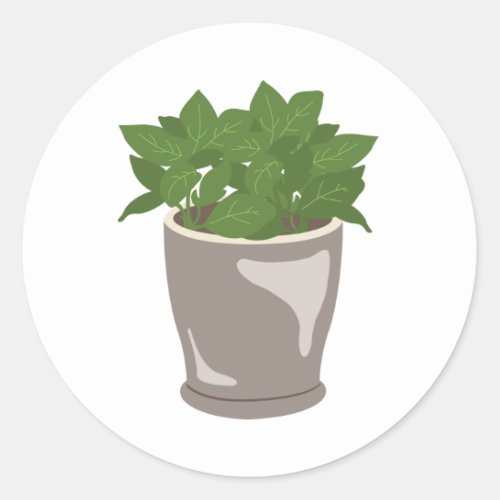 Basil Plant Classic Round Sticker