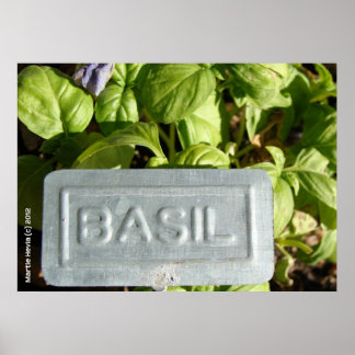Basil Poster