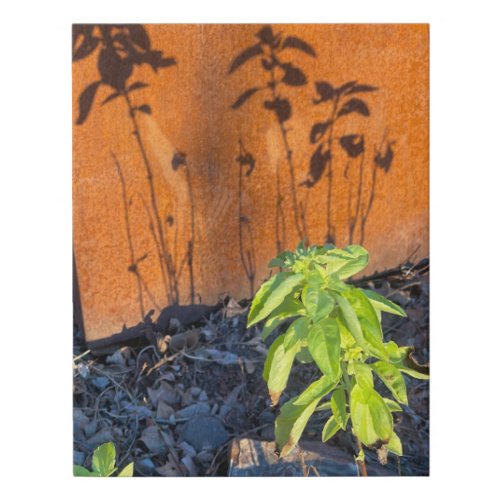 Basil shadows Corten steel Faux Canvas Print