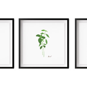 Basil Stem Illustration Herbs Kitchen Wall Art