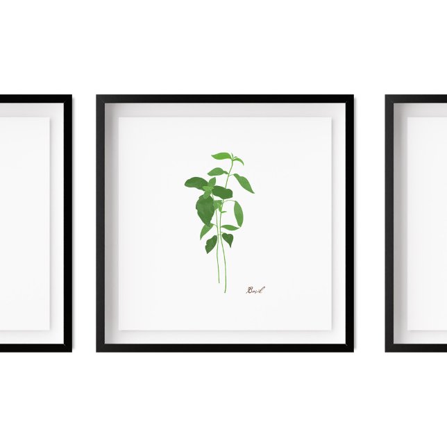 Basil Stem Illustration |  Herbs Kitchen Wall Art (Creator Uploaded)