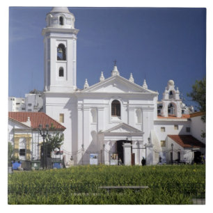 Basilica Nuestra Senora del Pilar in Recoleta Tile